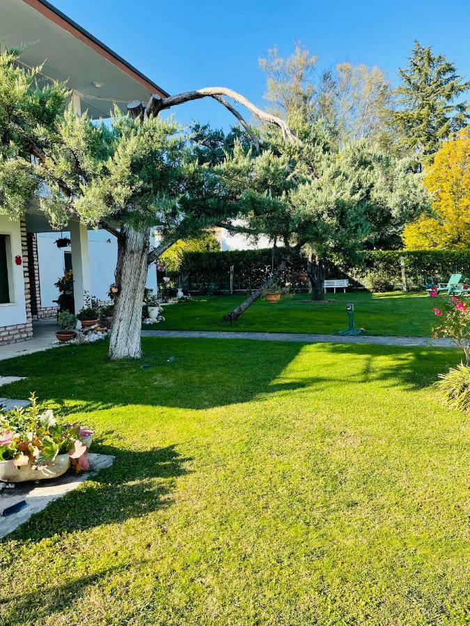 Villa Ruggiero The Loft Педемонте Екстер'єр фото